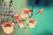 ƽ̨������ʵ����֤��